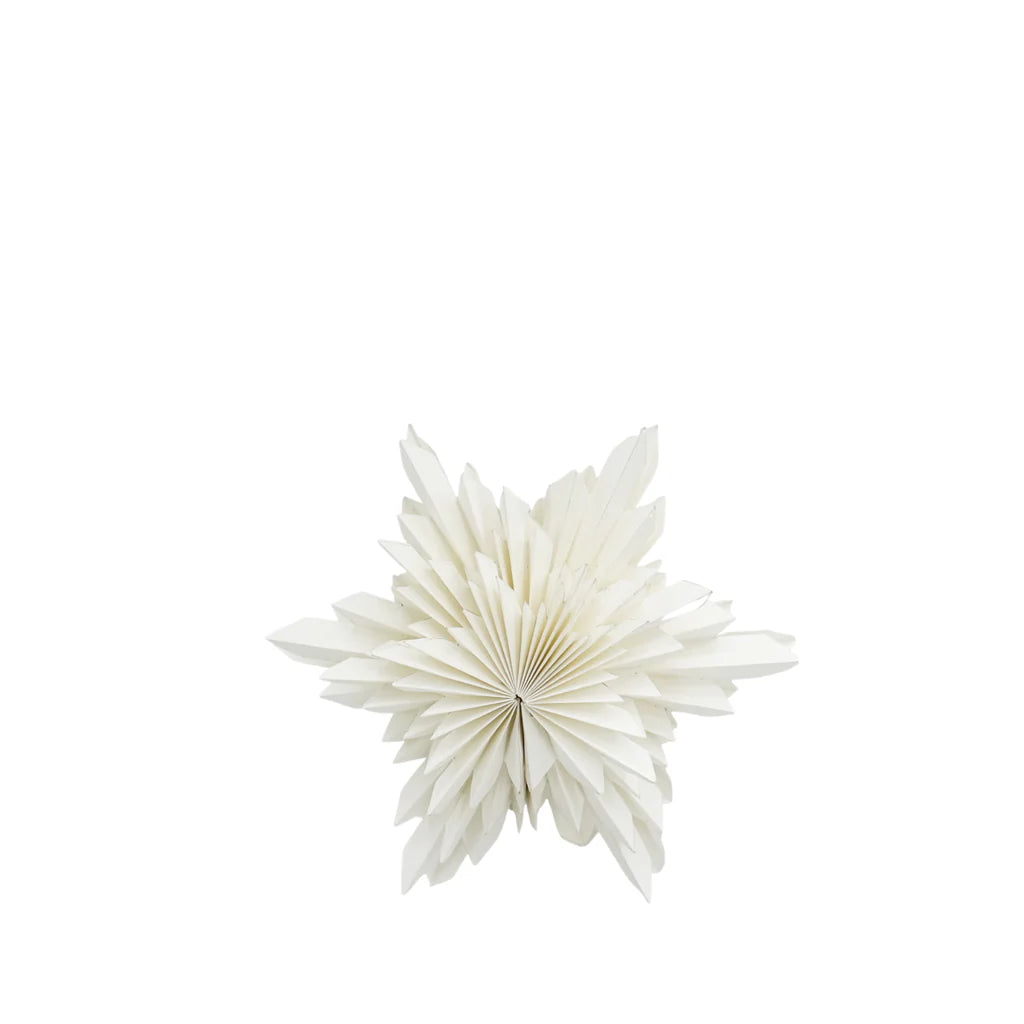 Astra Papierstern D15